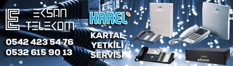 Kartal Karel Santral Servisi